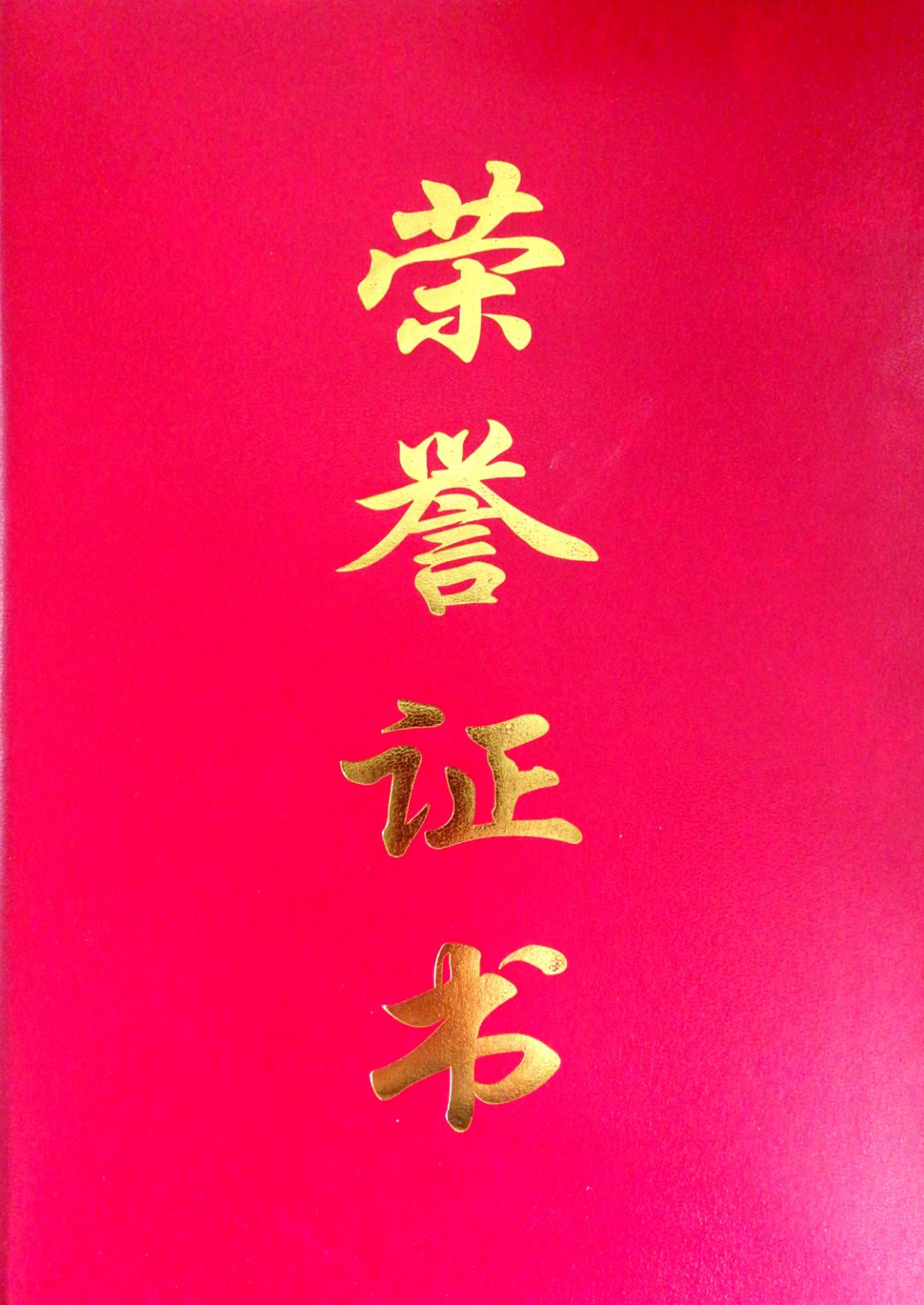 ZOBO反差百科董事长张新峰荣获2018年度“九三学社社员”