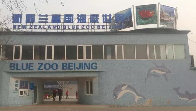 案例 ▎ZOBO反差百科为富国海底世界打造音视频系统